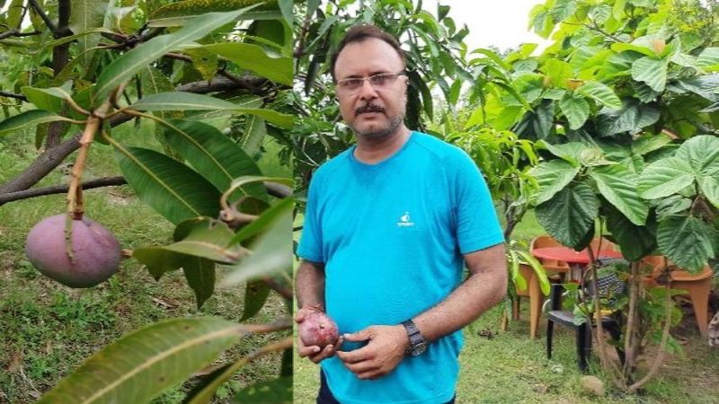 दुनिया का सबसे महंगा आम उगाते हैं संकल्प, एक किलो की कीमत है 2.5 लाख रुपये