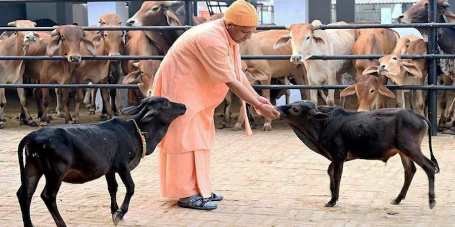 योगी सरकार की गो-संरक्षण नीति: धर्म के साथ अर्थ का कुशल संयोजन